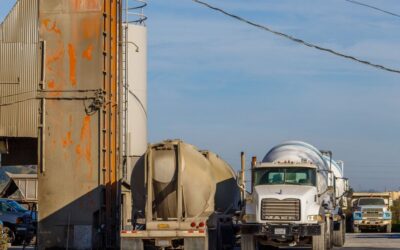 Blog & Resources 5 From Farms to Foundations: North Georgia’s Best Fueling Resources